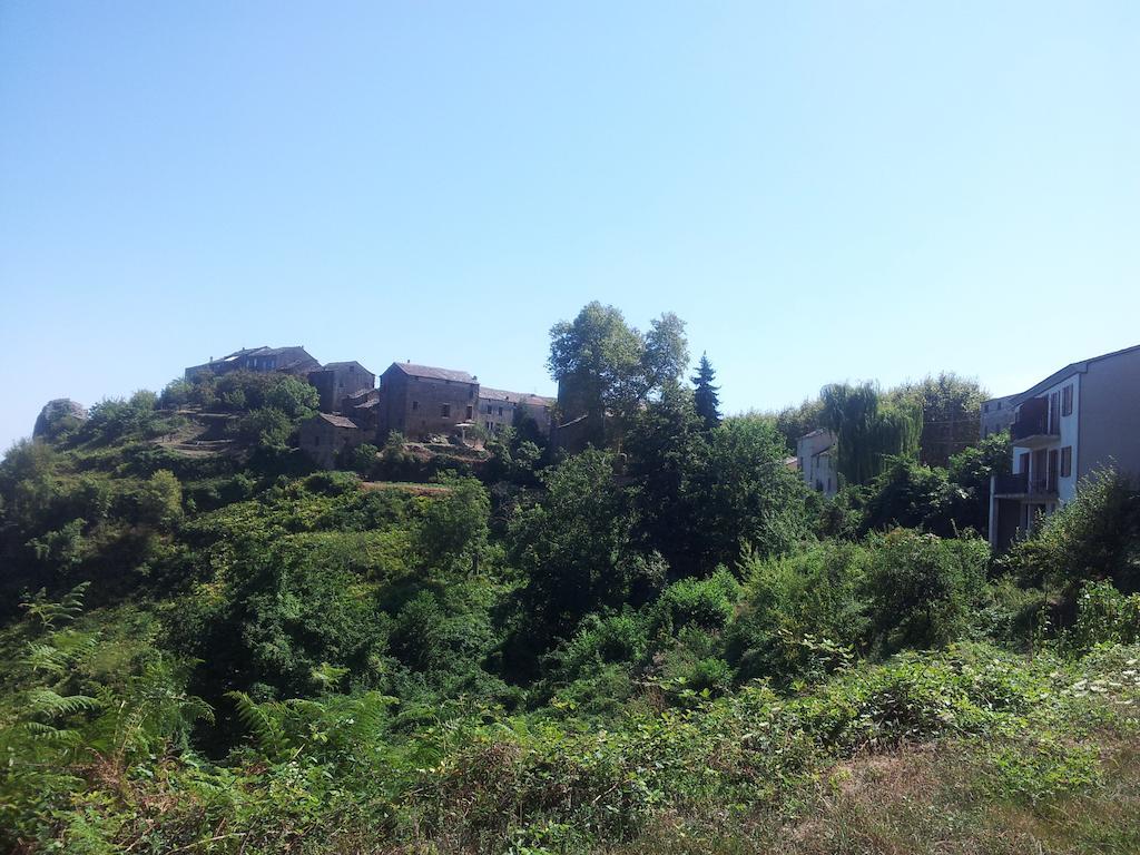 Gite La Fontaine Corse Loreto-di-Casinca Pokoj fotografie