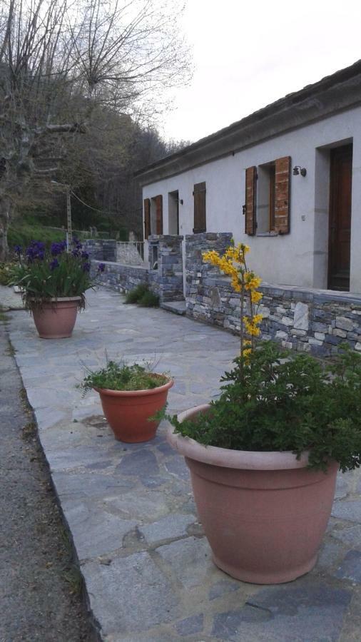 Gite La Fontaine Corse Loreto-di-Casinca Exteriér fotografie