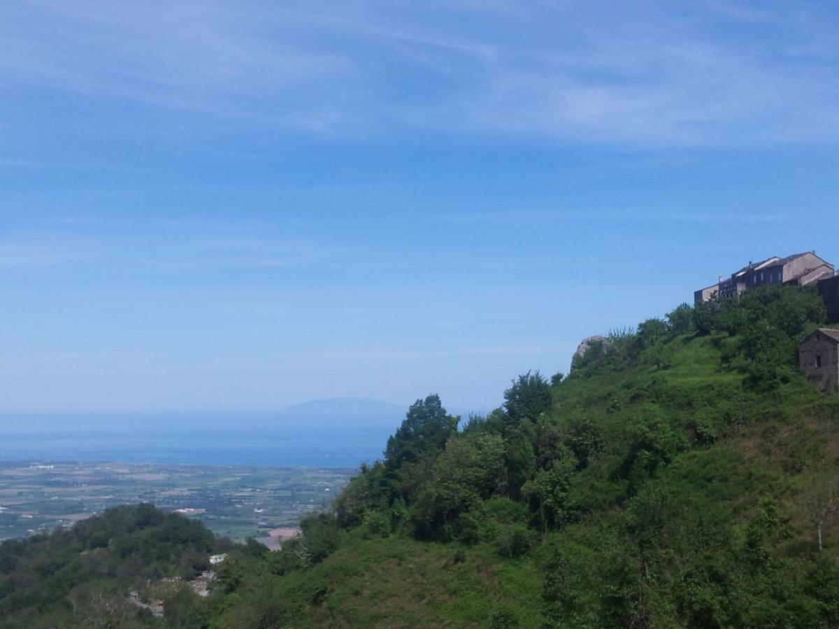 Gite La Fontaine Corse Loreto-di-Casinca Exteriér fotografie