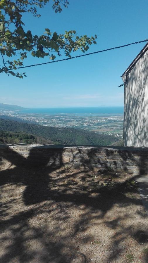 Gite La Fontaine Corse Loreto-di-Casinca Exteriér fotografie